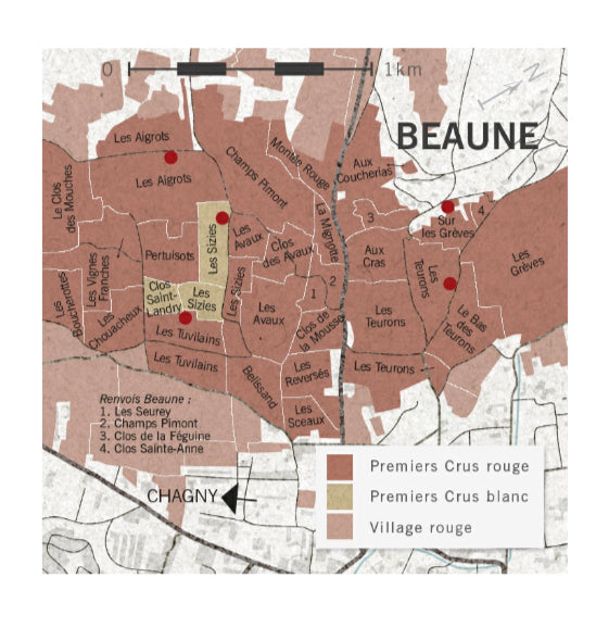 Bouchard Père et Fils, Beaune du Château 1er Cru Blanc 2018